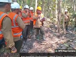 KPH Padangan BKPH Tobo, Pelaksanaan sesuai SOP (K3): Penjarangan kayu bertujuan agar pohon berkualitas.