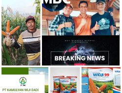 Gagasan Pimred MBC serukan ajakan, sukseskan ketahanan pangan Bojonegoro Makmur membanggakan.