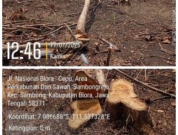 Sorotan Publik Media Lokal terhadap Dugaan Pembalakan Liar di Wilayah KPH Cepu