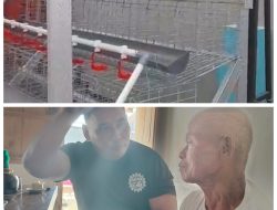 Pemdes Sukorejo Bojonegoro, siapkan kandang ayam petelur program Gayatri.