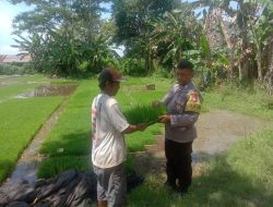 Polsek Ngronggot Serahkan Bibit Padi untuk Dukung Ketahanan Pangan Warga.