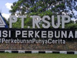 Kejati Riau Tegaskan 237 Ha Lahan PT RSUP Masuk Kawasan Hutan