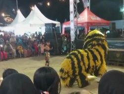 Pertunjukkan tari singo ulung,salah satu tari budaya di Bondowoso.