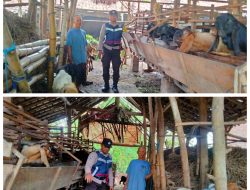 Manfaatkan Lahan Pekarangan, Warga Jatirejo Dibina Bhabinkamtibmas untuk Wujudkan Ketahanan Pangan