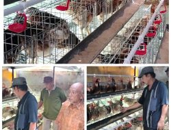 Dampak Positif Program GAYATRI di Desa Kalirejo, Kecamatan Ngraho.