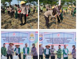 Peringati Hari Jadi ke-77, Polwan Polres Bojonegoro Tanam Jagung Dukung Ketahanan Pangan