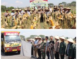 Panen Raya Jagung Serentak, Polres Nganjuk Sumbang 10 Ton di Kuartal III 2025