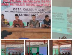 Pelatihan Berbudidaya Ayam Petelur Program Gayatri di Desa Kalisumber