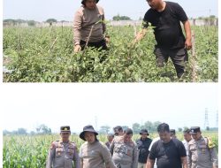 Polres Nganjuk Dorong Ketahanan Pangan Lewat Program “Desa Tangguh Pangan”.