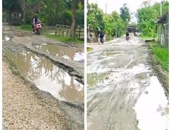 Ketua Satgas DPW PROGIB Jawatimur Kritik: Jalan Penghubung Sugihwaras Ngraho Rusak Parah, Dikeluhkan Warga