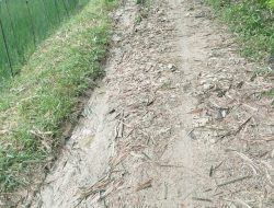 Jalan Dusun Ngampel Desa Jumok Tak Pernah Tersentuh Bantuan, Warga Harap Perhatian Pemerintah.